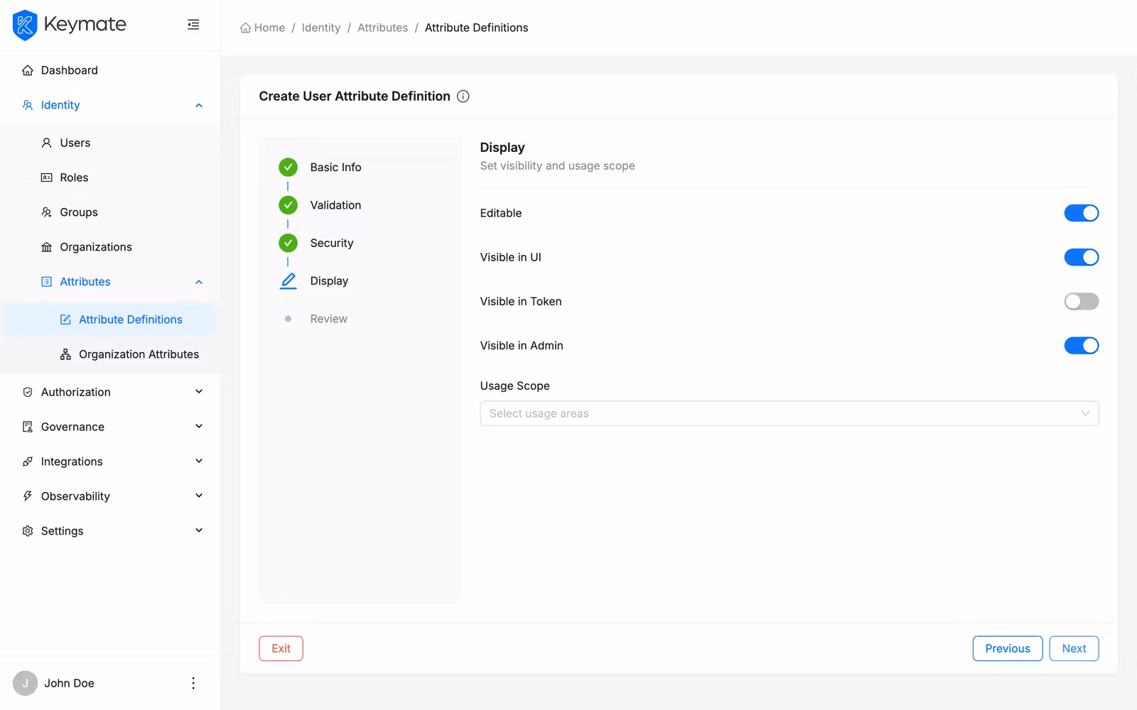 Wizard step 4 showing display toggles for editable, visibility in UI, token, and admin, plus usage scope selector